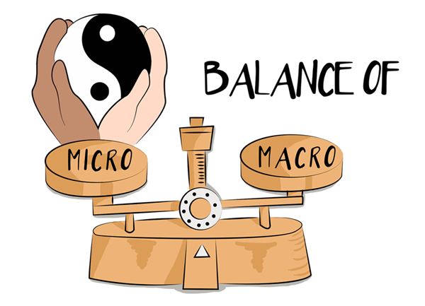 Click on the image for Text Version