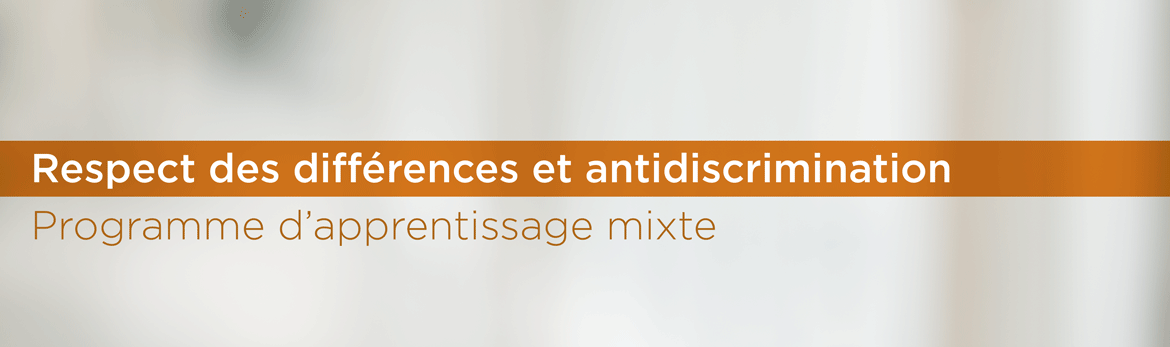 Respect des différences et antidiscrimination &ndash; Programme d'apprentissage mixte