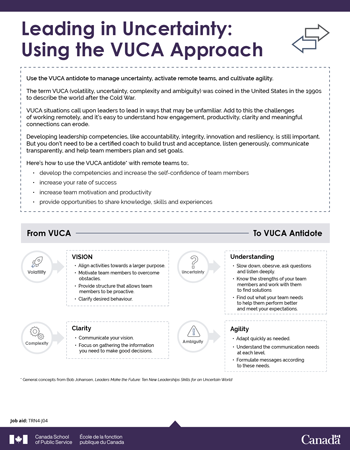 Using the VUCA Approach
